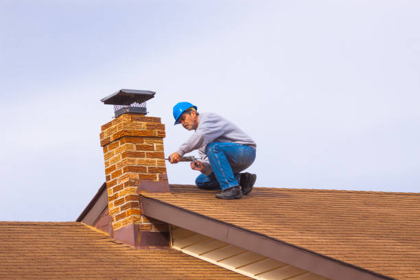 Here Is The Ultimate Article About Chimney Professionals